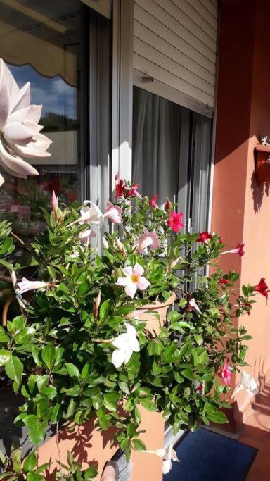 La Casa Di Teri A Chiavari Εξωτερικό φωτογραφία