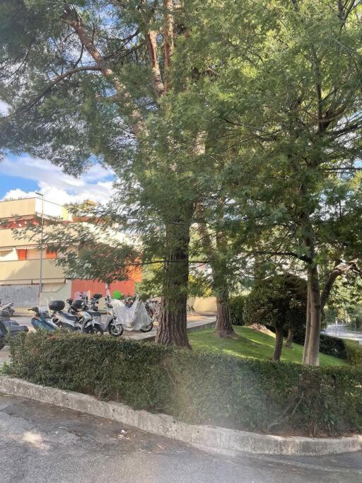 La Casa Di Teri A Chiavari Εξωτερικό φωτογραφία