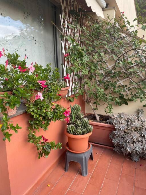 La Casa Di Teri A Chiavari Εξωτερικό φωτογραφία